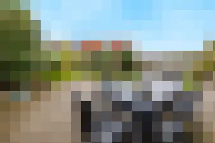 Amstel 190 Wijk bij Duurstede thumbnail 19