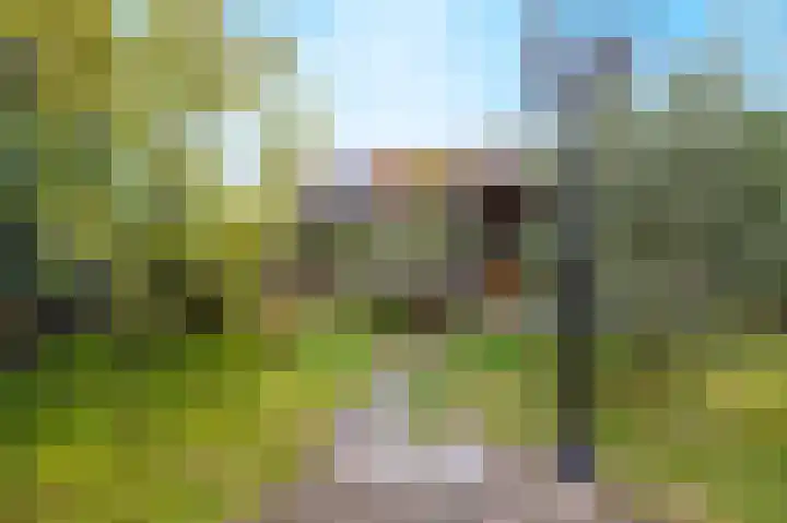 Amstel 190 Wijk bij Duurstede thumbnail 20