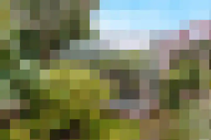 Amstel 190 Wijk bij Duurstede thumbnail 21