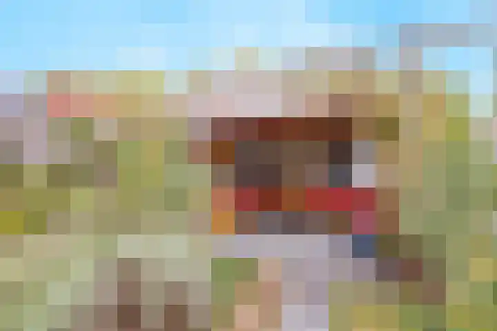 Amstel 190 Wijk bij Duurstede thumbnail 22