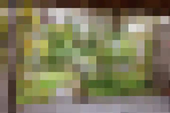 Amstel 190 Wijk bij Duurstede thumbnail 26