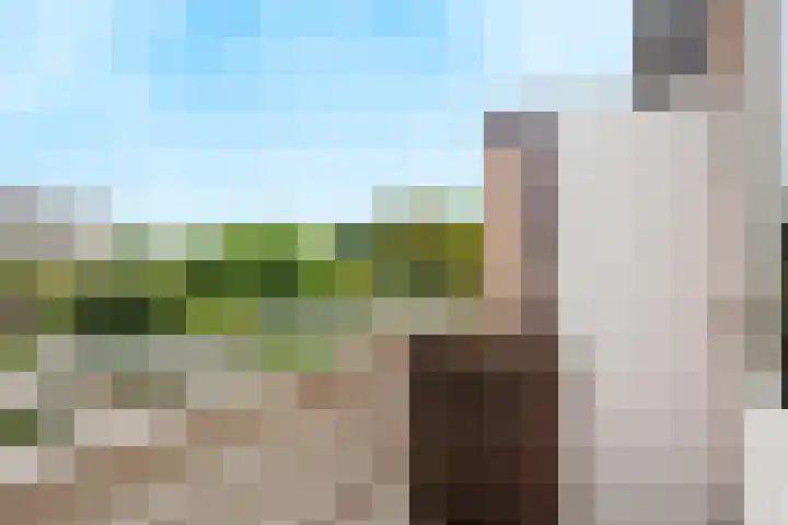 Amstel 190 Wijk bij Duurstede thumbnail 39