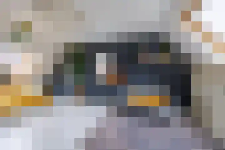 Amstel 190 Wijk bij Duurstede thumbnail 41