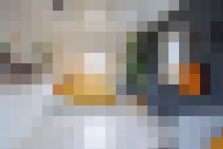 Amstel 190 Wijk bij Duurstede thumbnail 42