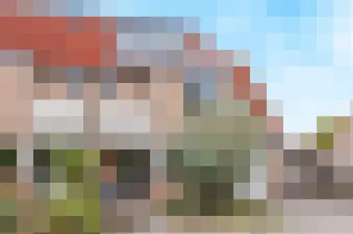 Amstel 190 Wijk bij Duurstede thumbnail 52