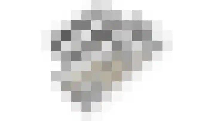 Amstel 190 Wijk bij Duurstede thumbnail 55