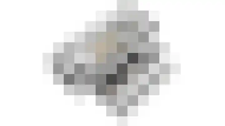 Amstel 190 Wijk bij Duurstede thumbnail 56
