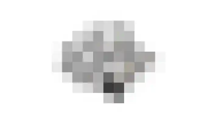 Amstel 190 Wijk bij Duurstede thumbnail 59