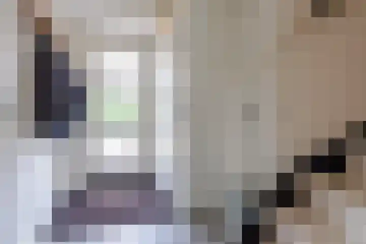 Amstel 190 Wijk bij Duurstede thumbnail 6