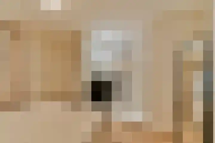 Amstel 204 B Amsterdam thumbnail 10