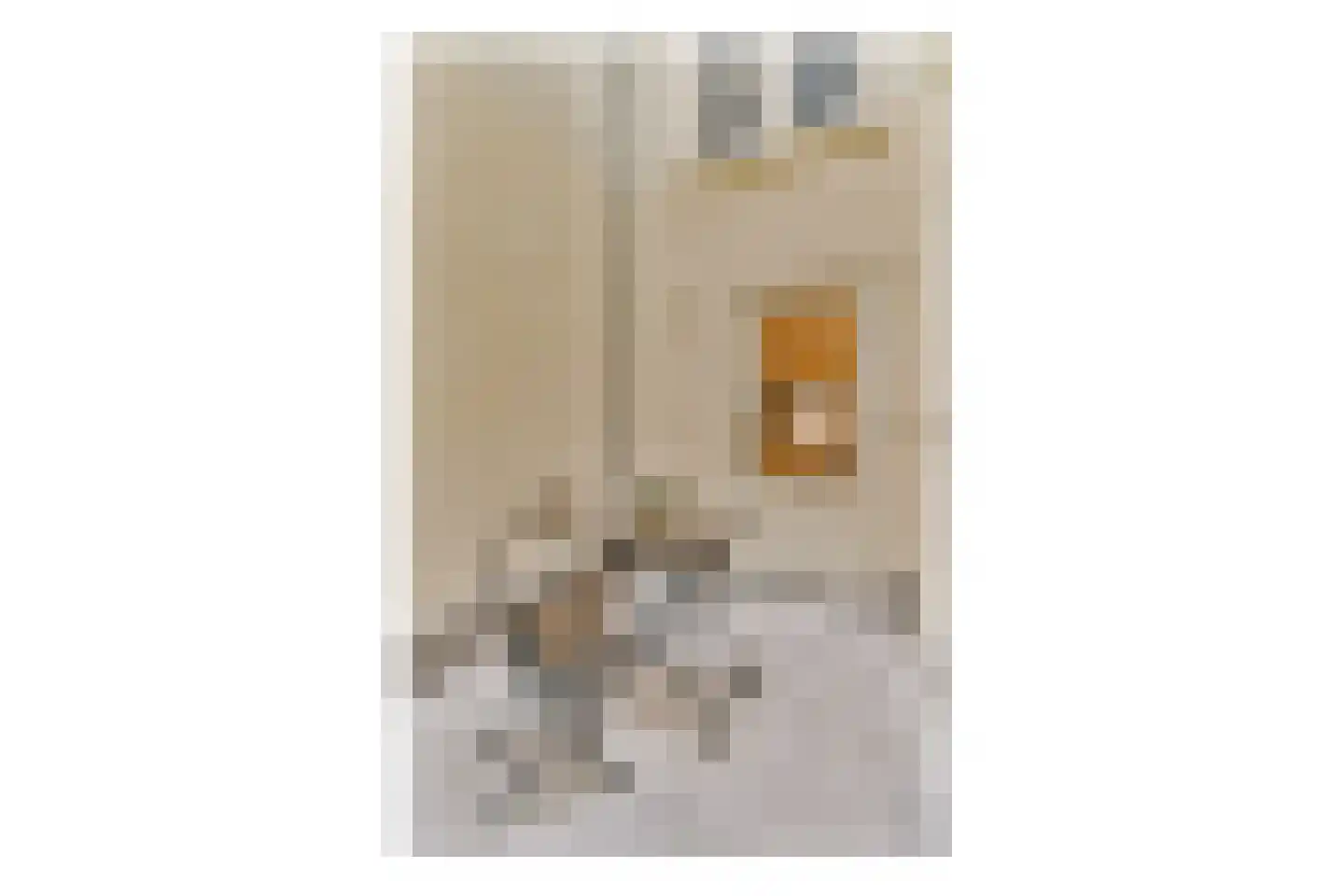 Amstel 204 B Amsterdam thumbnail 8