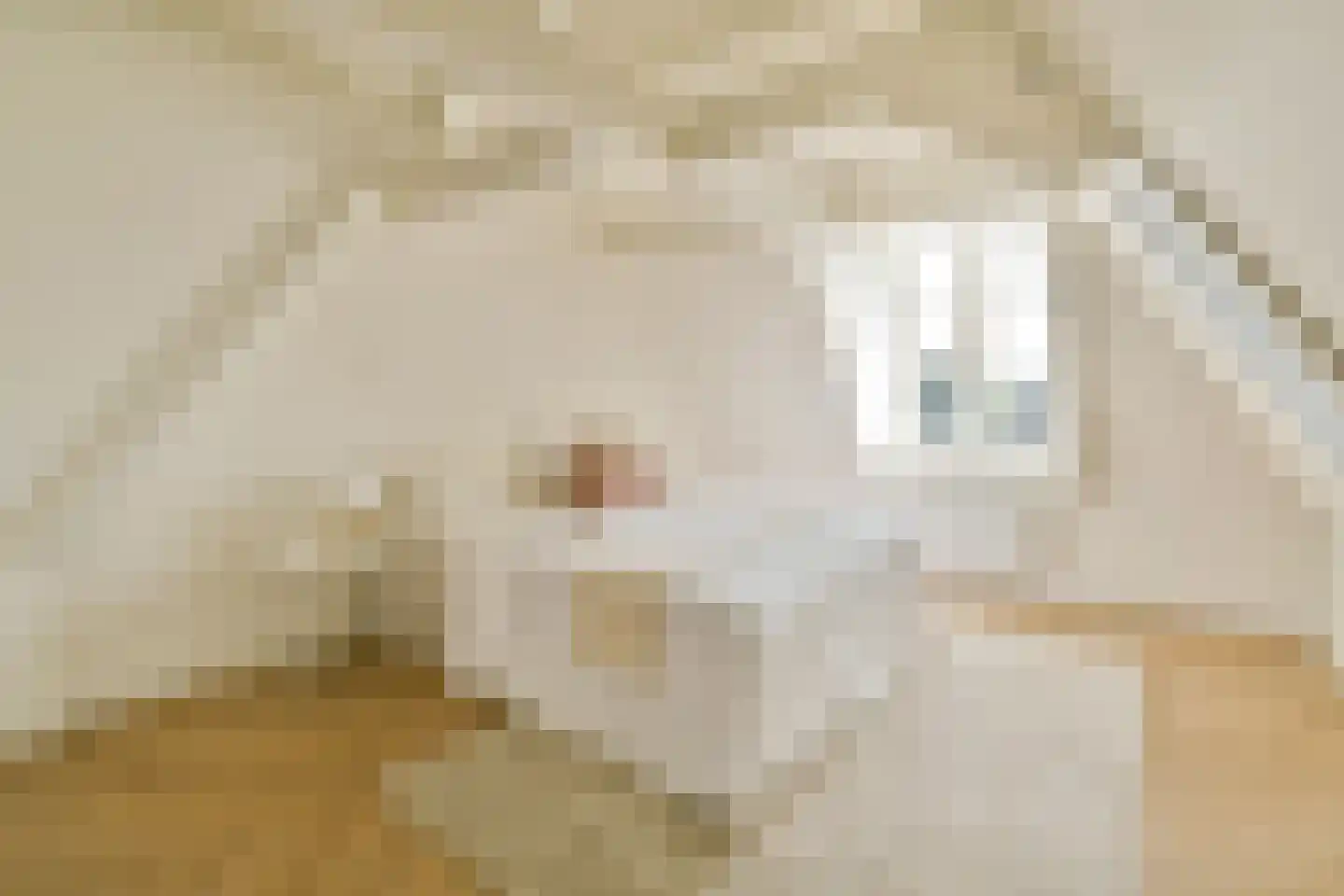 Amstel 204 D Amsterdam thumbnail 11