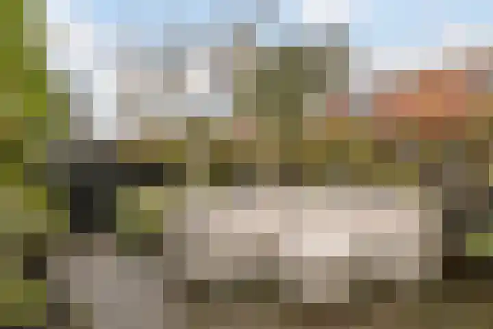 Amstel 22 Heerhugowaard thumbnail 36