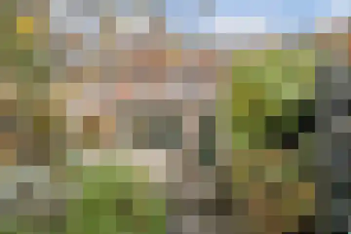 Amstel 22 Heerhugowaard thumbnail 39