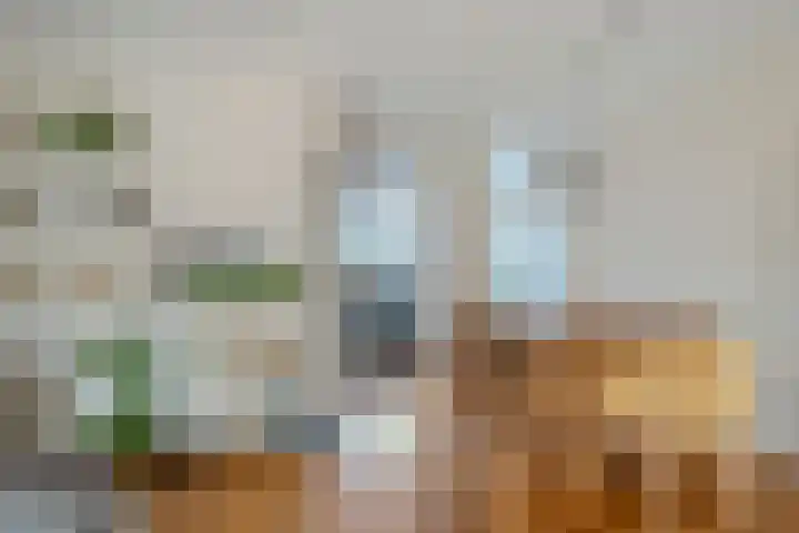 Amstel 22 Heerhugowaard thumbnail 4
