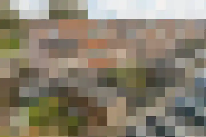 Amstel 22 Heerhugowaard thumbnail 43