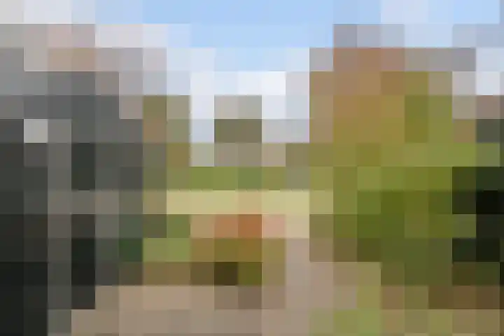 Amstel 22 Heerhugowaard thumbnail 45