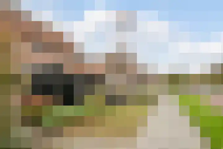 Amstel 22 Heerhugowaard thumbnail 46