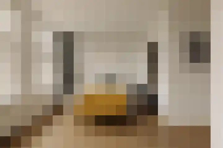 Amstel 224 1 Amsterdam thumbnail 14