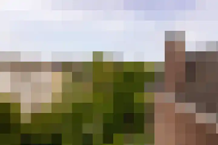 Amstel 224 1 Amsterdam thumbnail 23