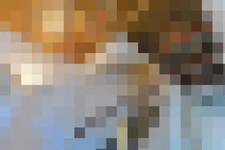 Amstel 224 1 Amsterdam thumbnail 25