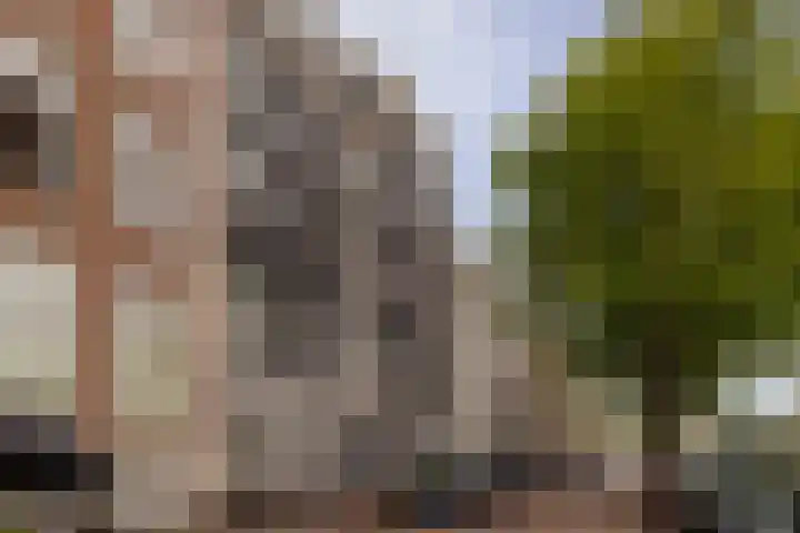 Amstel 224 1 Amsterdam thumbnail 26