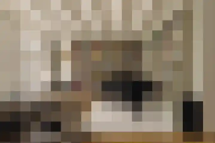 Amstel 224 1 Amsterdam thumbnail 7