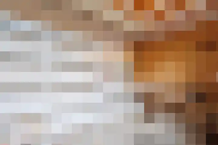 Amstel 25 Wijk bij Duurstede thumbnail 13