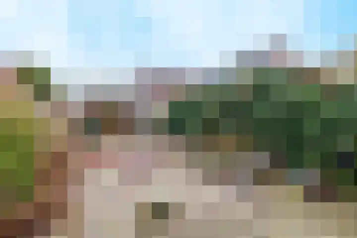 Amstel 25 Wijk bij Duurstede thumbnail 15