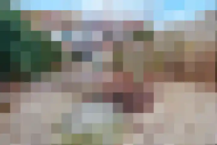 Amstel 25 Wijk bij Duurstede thumbnail 18