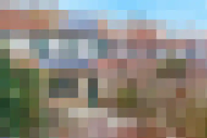 Amstel 25 Wijk bij Duurstede thumbnail 19