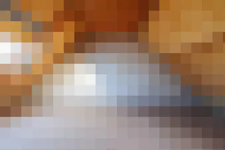 Amstel 25 Wijk bij Duurstede thumbnail 37
