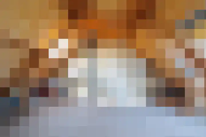 Amstel 25 Wijk bij Duurstede thumbnail 39