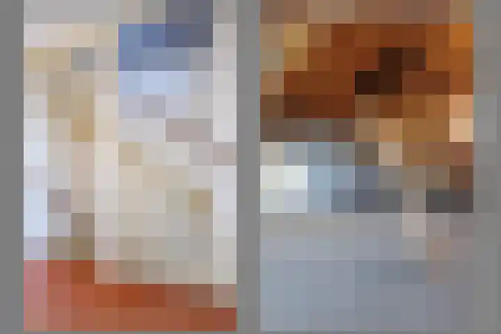 Amstel 25 Wijk bij Duurstede thumbnail 40