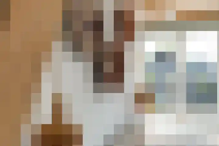 Amstel 254 A Amsterdam thumbnail 22