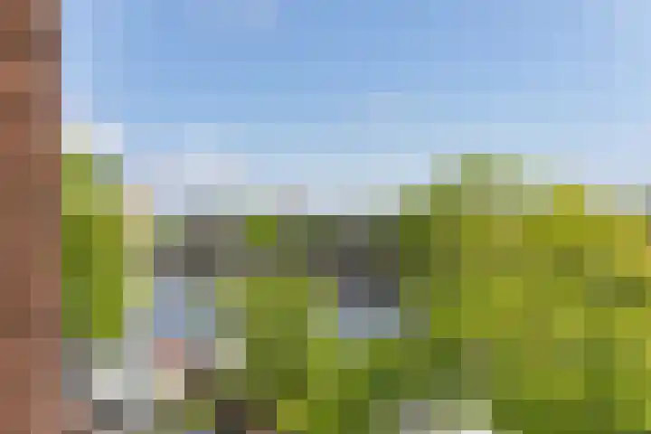 Amstel 254 A Amsterdam thumbnail 24