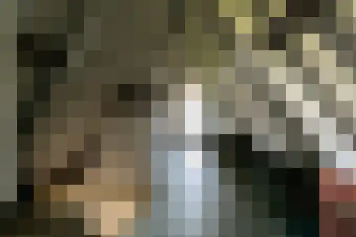 Amstel 254 A Amsterdam thumbnail 33
