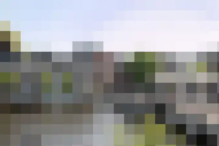 Amstel 254 A Amsterdam thumbnail 39