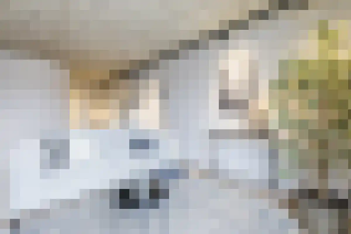 Amstel 270 Amsterdam thumbnail 6
