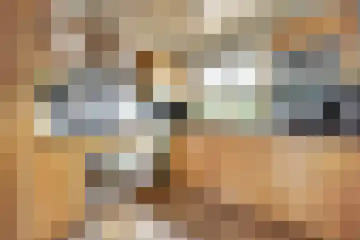 Amstel 43 1 Amsterdam thumbnail 22