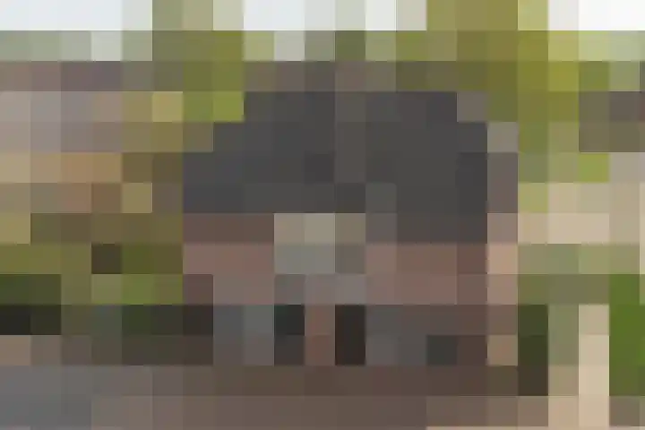 Amstel 43 1 Amsterdam thumbnail 43
