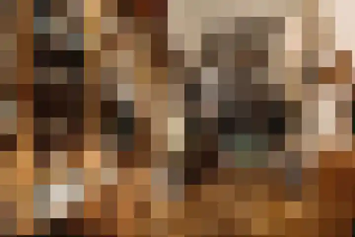 Amstel 43 1 Amsterdam thumbnail 9