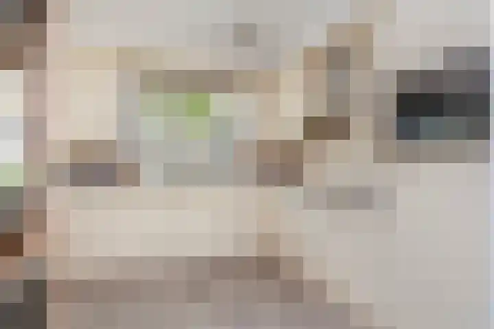 Amstel 43 Wijk bij Duurstede thumbnail 11