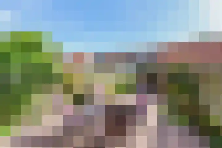 Amstel 43 Wijk bij Duurstede thumbnail 20