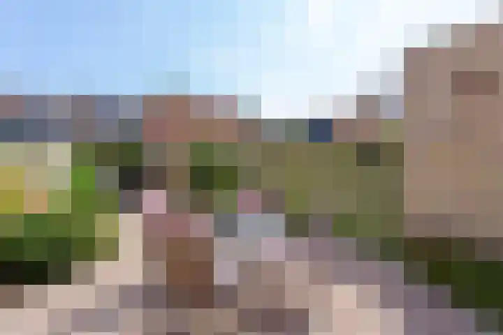 Amstel 43 Wijk bij Duurstede thumbnail 21
