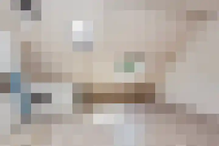 Amstel 43 Wijk bij Duurstede thumbnail 38