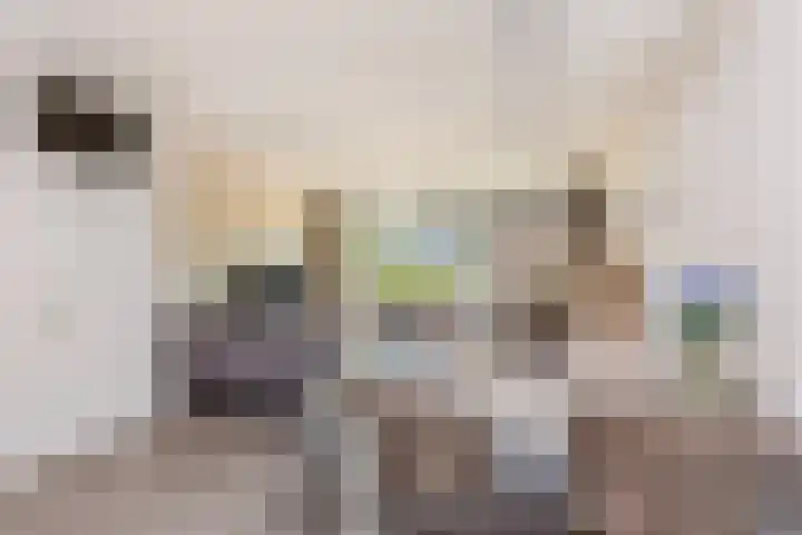 Amstel 43 Wijk bij Duurstede thumbnail 7