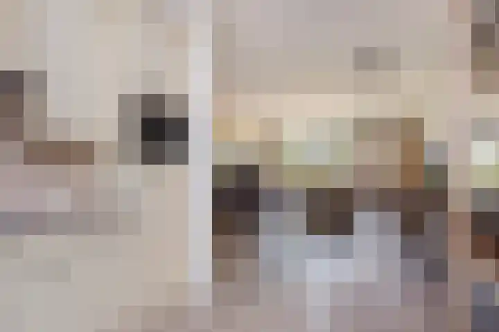 Amstel 43 Wijk bij Duurstede thumbnail 9