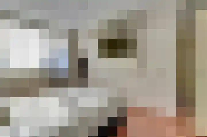 Amstel 49 Waalwijk thumbnail 16