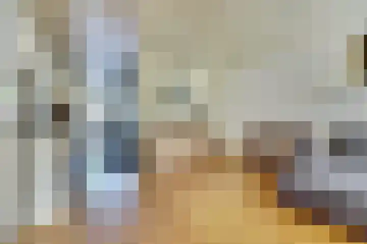 Amstel 49 Waalwijk thumbnail 7